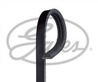 TOYOPOWER, V-Ribbed Belt, 8PK835
