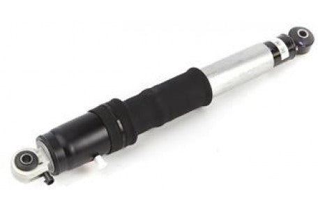 Shock Absorber, GM, 19300075, 19368451, CADILLAC (GM) (073862)