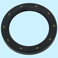Oil Seal, EK, 30x46x8, TC (120141)