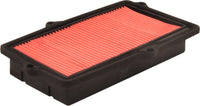 JS, Air Filter, 17220-PP4-E00, A0194, ROVER