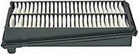 JS, Air Filter, 17220-P8C-A00, A877J, HONDA