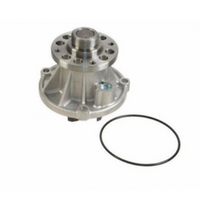 Water Pump, FORD, F650 F750 6.0L VT365 Engine 4C3Z8501AA 5C4Z8501AA (113481)
