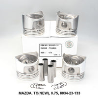 ပစ္စတင် W/Pin၊ FPI၊ TC(အသစ်)၊ 0.75၊ 8034-23-133 (001628)