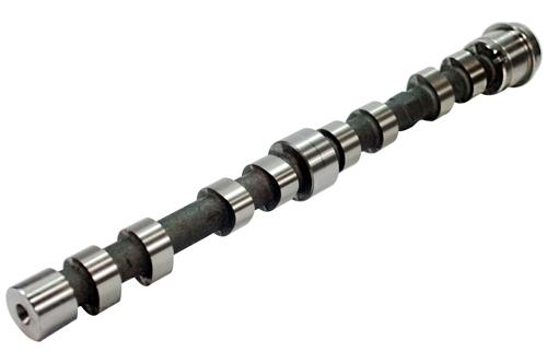 Camshafts & Lifters