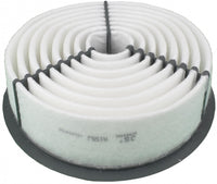 JS, Air Filter, 17801-70020, A155J, ISUZU
