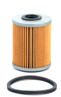 JS,, Fuel Filter (ELEMENT), 90542912, FE1007, OPEL