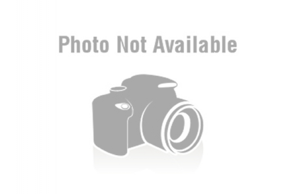 Leaf Spring Pin, 30 x 160 (M00270)