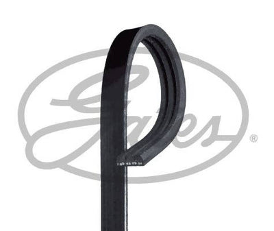 GATES V-Ribbed Belt 3PK815 (17521-60B00)